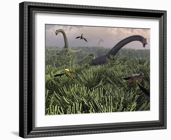 Diplodocus Dinosaurs of the Sauropod Family-Stocktrek Images-Framed Photographic Print