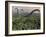 Diplodocus Dinosaurs of the Sauropod Family-Stocktrek Images-Framed Photographic Print