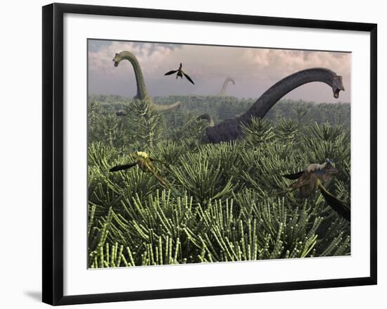 Diplodocus Dinosaurs of the Sauropod Family-Stocktrek Images-Framed Photographic Print