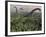 Diplodocus Dinosaurs of the Sauropod Family-Stocktrek Images-Framed Photographic Print