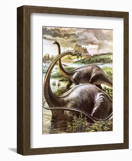 Diplodocus-Payne-Framed Giclee Print