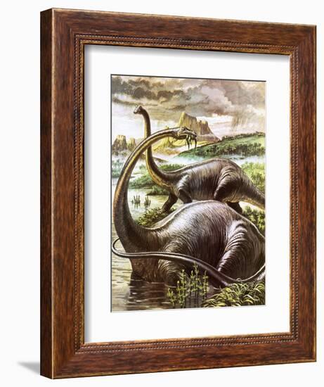 Diplodocus-Payne-Framed Giclee Print