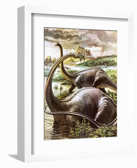 Diplodocus-Payne-Framed Giclee Print