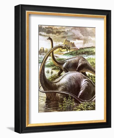 Diplodocus-Payne-Framed Giclee Print