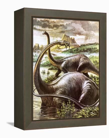 Diplodocus-Payne-Framed Premier Image Canvas