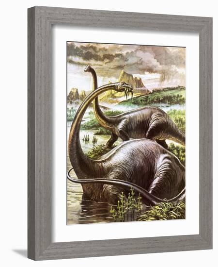 Diplodocus-Payne-Framed Giclee Print