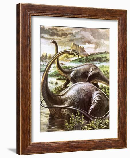 Diplodocus-Payne-Framed Giclee Print