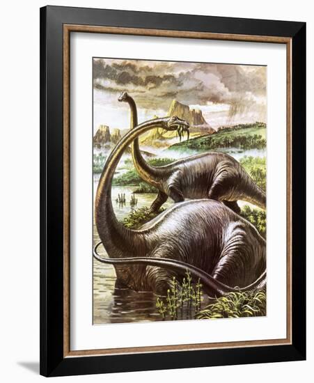 Diplodocus-Payne-Framed Giclee Print