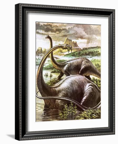 Diplodocus-Payne-Framed Giclee Print