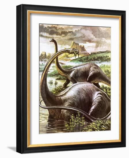 Diplodocus-Payne-Framed Giclee Print