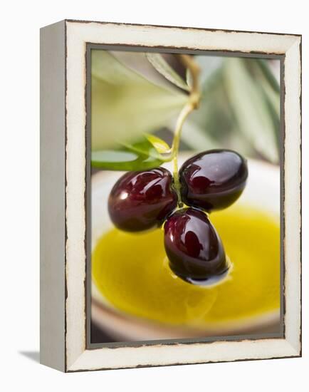 Dipping Olive Sprig with Black Olives in Olive Oil-null-Framed Premier Image Canvas