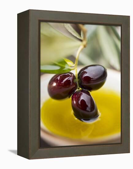 Dipping Olive Sprig with Black Olives in Olive Oil-null-Framed Premier Image Canvas