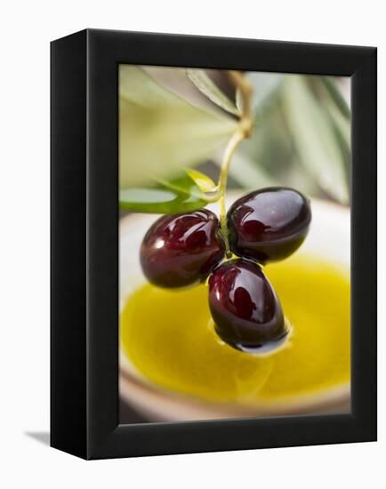 Dipping Olive Sprig with Black Olives in Olive Oil-null-Framed Premier Image Canvas