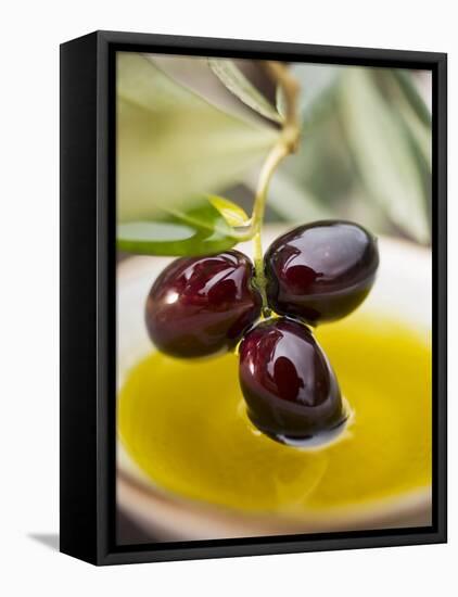 Dipping Olive Sprig with Black Olives in Olive Oil-null-Framed Premier Image Canvas