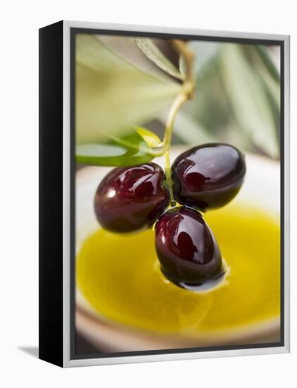 Dipping Olive Sprig with Black Olives in Olive Oil-null-Framed Premier Image Canvas