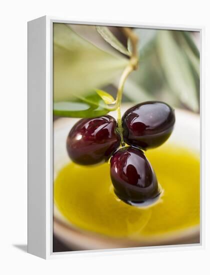 Dipping Olive Sprig with Black Olives in Olive Oil-null-Framed Premier Image Canvas