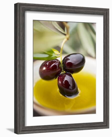 Dipping Olive Sprig with Black Olives in Olive Oil-null-Framed Photographic Print