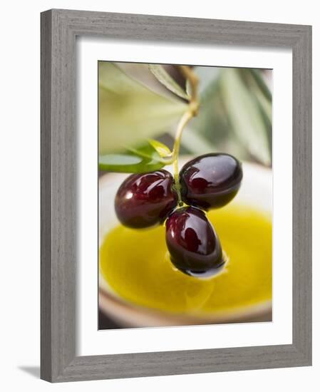 Dipping Olive Sprig with Black Olives in Olive Oil-null-Framed Photographic Print