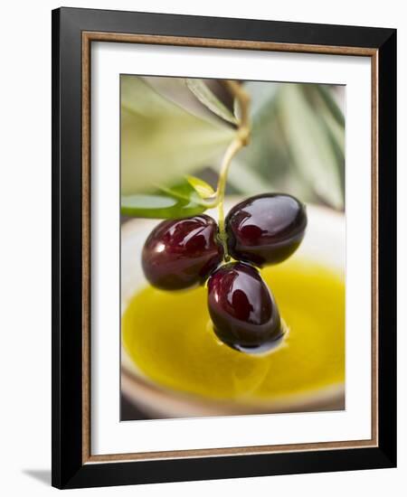 Dipping Olive Sprig with Black Olives in Olive Oil--Framed Photographic Print