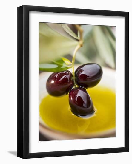 Dipping Olive Sprig with Black Olives in Olive Oil--Framed Photographic Print