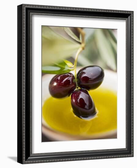 Dipping Olive Sprig with Black Olives in Olive Oil--Framed Photographic Print