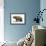Diprotodon Optatum, the Largest known Marsupial-null-Framed Art Print displayed on a wall