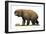 Diprotodon Optatum, the Largest known Marsupial-null-Framed Art Print
