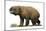 Diprotodon Optatum, the Largest known Marsupial-null-Mounted Art Print