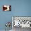 Diptych Kodak 3A Folding Pocket-Jessica Rogers-Giclee Print displayed on a wall