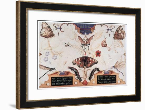 Diptych with Flowers and Insects, 1591-Joris Hoefnagel-Framed Giclee Print