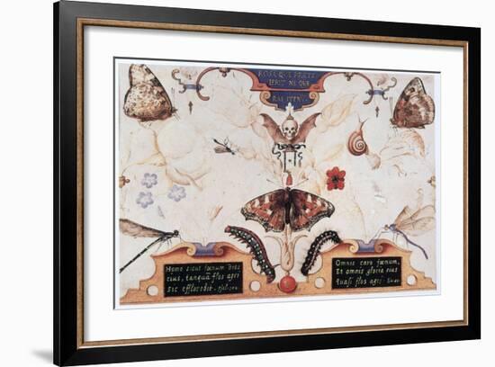Diptych with Flowers and Insects, 1591-Joris Hoefnagel-Framed Giclee Print