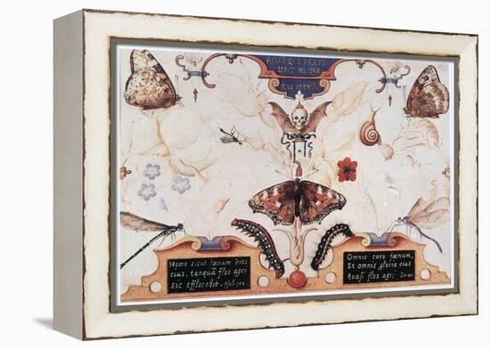 Diptych with Flowers and Insects, 1591-Joris Hoefnagel-Framed Premier Image Canvas