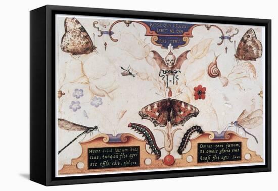 Diptych with Flowers and Insects, 1591-Joris Hoefnagel-Framed Premier Image Canvas