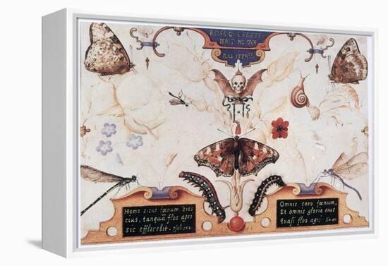 Diptych with Flowers and Insects, 1591-Joris Hoefnagel-Framed Premier Image Canvas