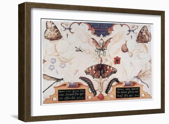 Diptych with Flowers and Insects, 1591-Joris Hoefnagel-Framed Giclee Print