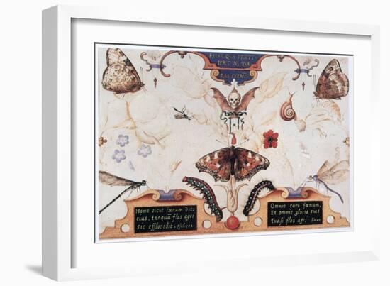 Diptych with Flowers and Insects, 1591-Joris Hoefnagel-Framed Giclee Print