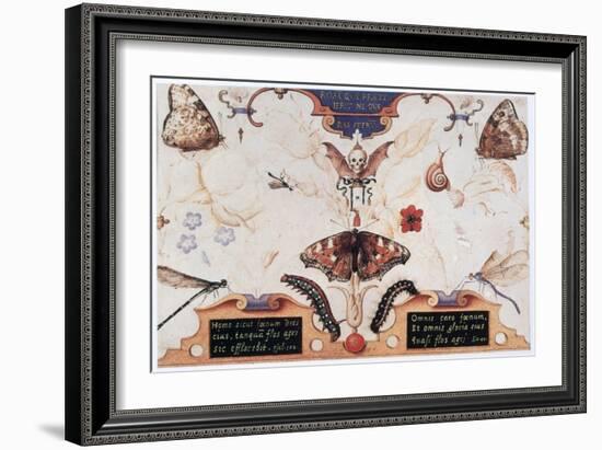 Diptych with Flowers and Insects, 1591-Joris Hoefnagel-Framed Giclee Print