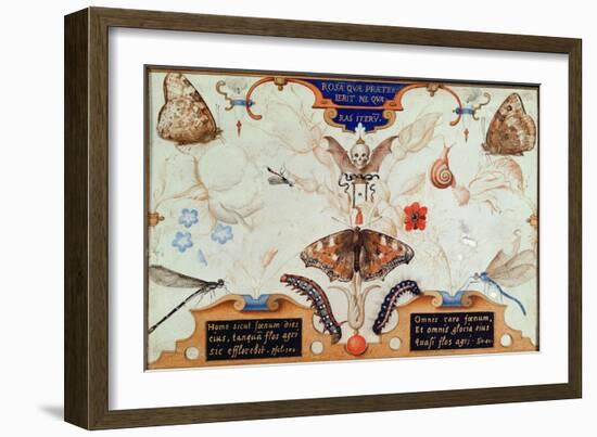 Diptych with Flowers and Insects, 1591-Joris Hoefnagel-Framed Giclee Print