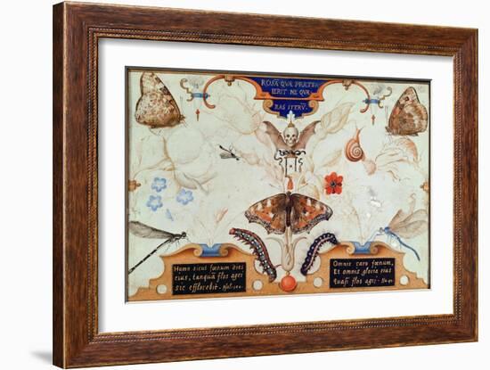 Diptych with Flowers and Insects, 1591-Joris Hoefnagel-Framed Giclee Print