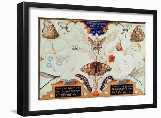 Diptych with Flowers and Insects, 1591-Joris Hoefnagel-Framed Giclee Print