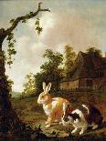 Wooded Landscape with Two Hares-Dirck Wyntrack-Giclee Print