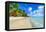 Direction Island, Cocos (Keeling) Islands, Indian Ocean, Asia-Lynn Gail-Framed Premier Image Canvas