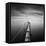 Direction-Moises Levy-Framed Premier Image Canvas