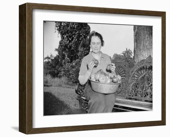 Director of the Mint Nellie Tayloe Ross relaxes on her Maryland farm, 1938-Harris & Ewing-Framed Photographic Print