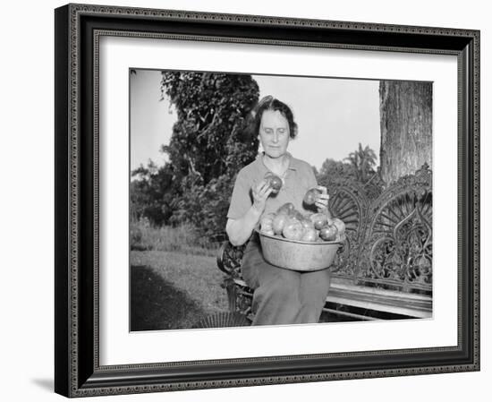 Director of the Mint Nellie Tayloe Ross relaxes on her Maryland farm, 1938-Harris & Ewing-Framed Photographic Print