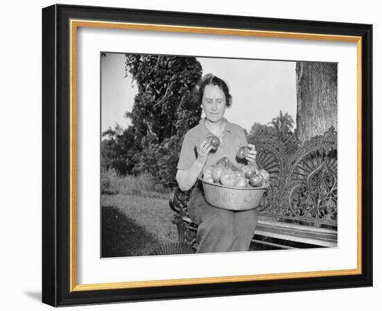 Director of the Mint Nellie Tayloe Ross relaxes on her Maryland farm, 1938-Harris & Ewing-Framed Photographic Print