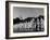 Director Oveta Culp Hobby Reviewing Wacs on Parade Ground-null-Framed Photographic Print