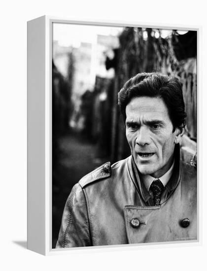 Director Piero Paolo Pasolini-Carlo Bavagnoli-Framed Premier Image Canvas