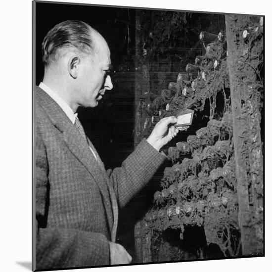 Director Yoes Kressmann, Looking at the Chateau Lafite Kept for His Own Personal Consumption-null-Mounted Photographic Print