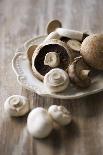 Chestnut Mushrooms and White Button Mushrooms-Dirk Pieters-Framed Photographic Print